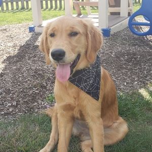 Meet your Posher, Shannon